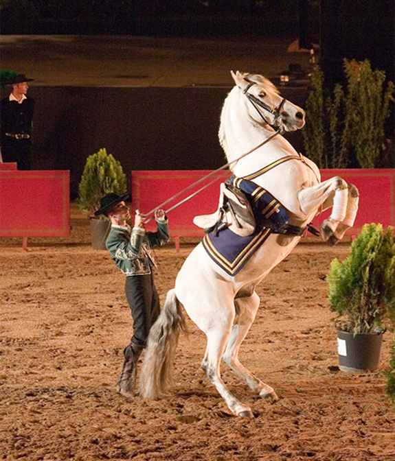 Consorsio de Turismo de Córdoba  (Andalucía) Spain